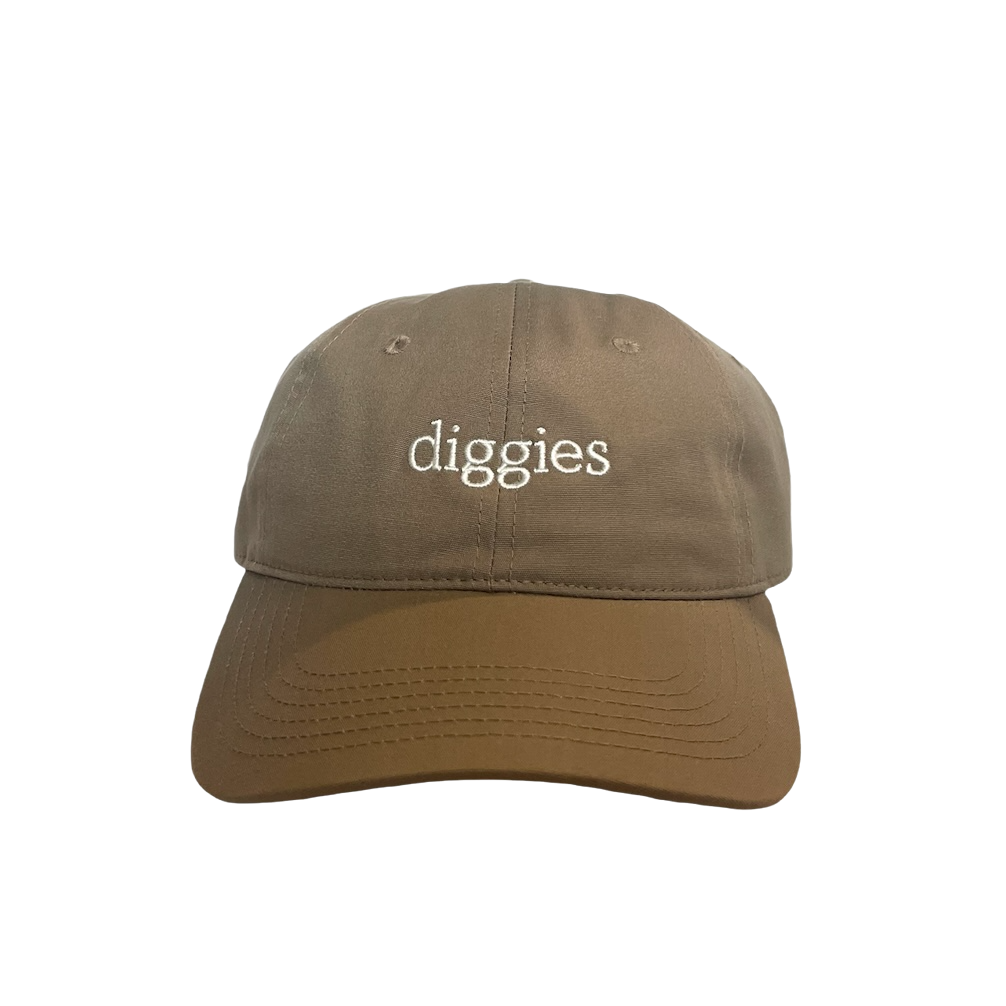 LOGIN DIGGIES visual data 3