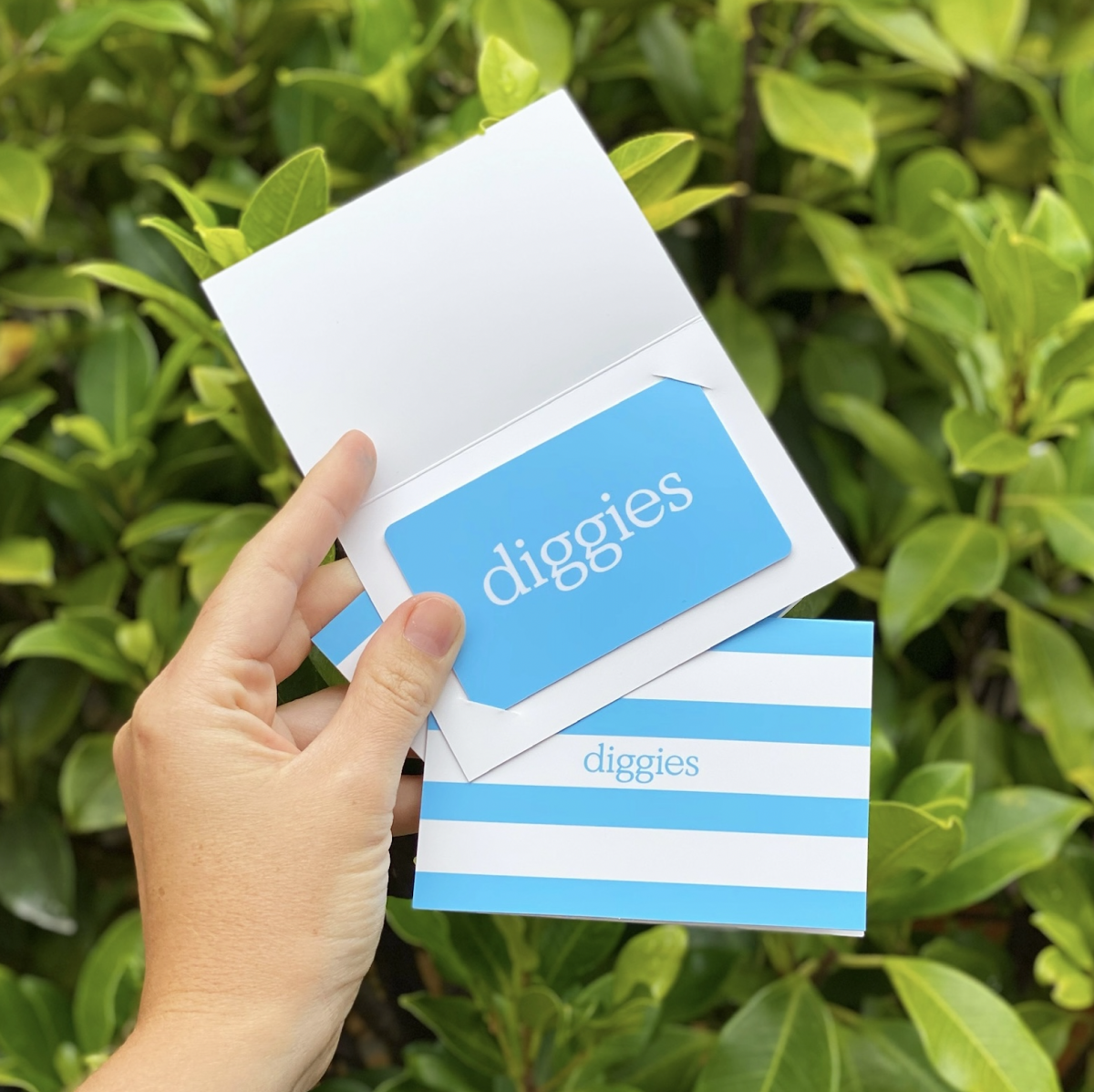 Diggies Gift Card Diggies