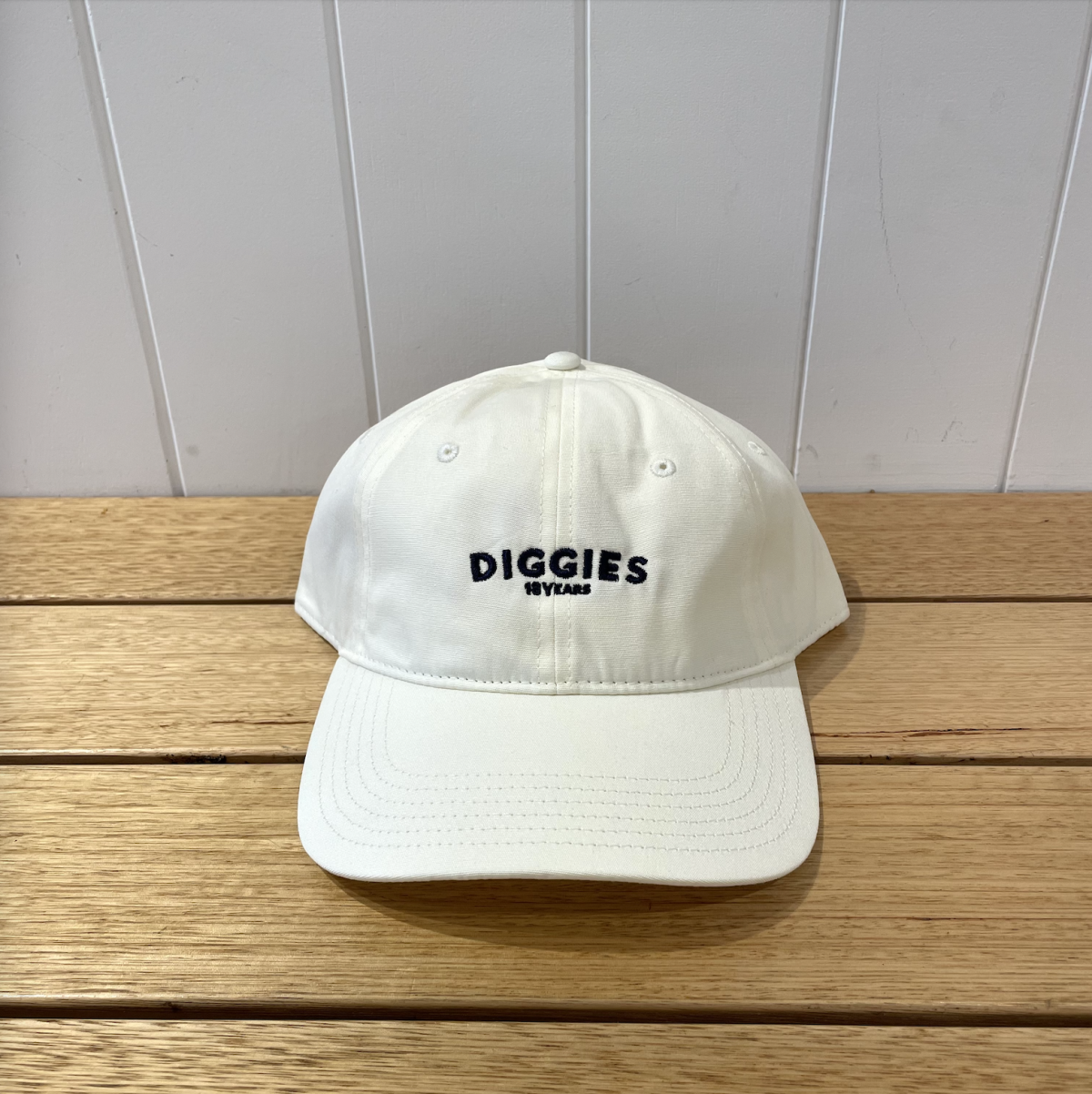 LOGIN DIGGIES visual data 6